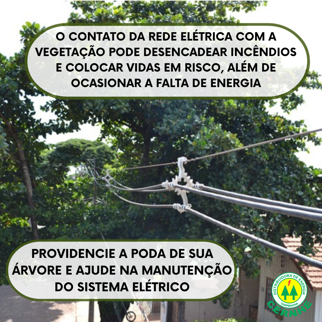 PODA DE VEGETAÇÃO X SISTEMA ELÉTRICO